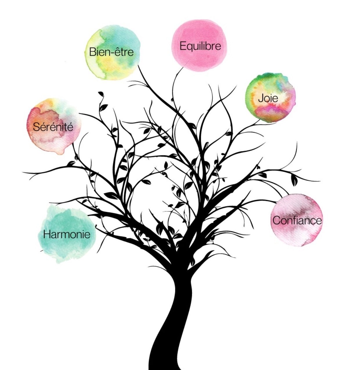 Arbre illustrant les différents domaines abordés en kinésiologie